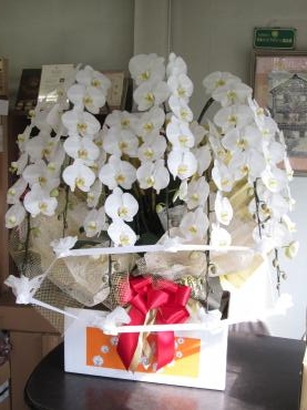 全国発送承ってます｜「難波ナーセリー」　（岡山県倉敷市の花キューピット加盟店 花屋）のブログ