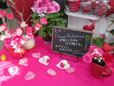 バレンタインの季節です｜「難波ナーセリー」　（岡山県倉敷市の花キューピット加盟店 花屋）のブログ