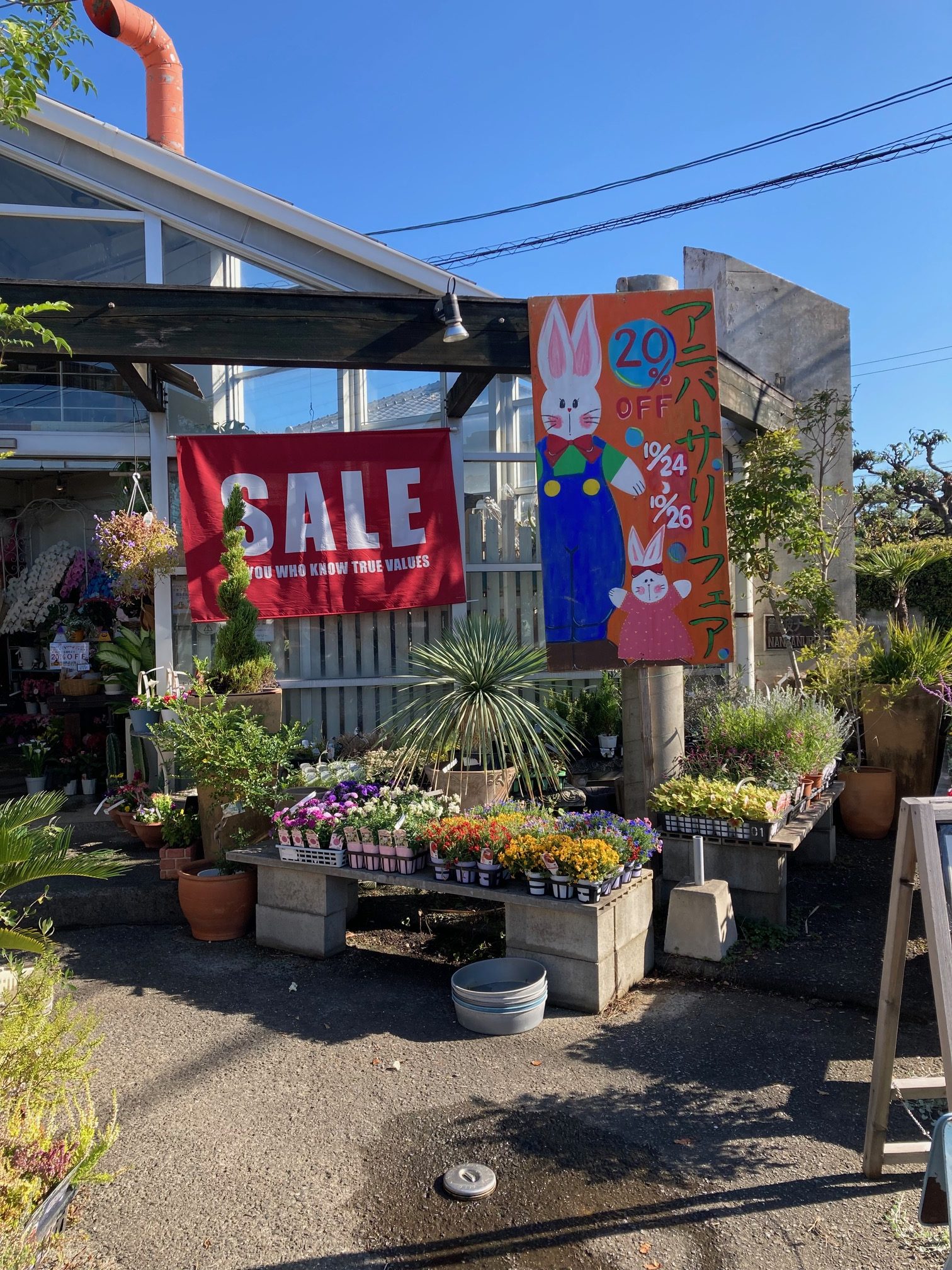アニバーサリーフェア、はじまりました！|「難波ナーセリー」　（岡山県倉敷市の花屋）のブログ